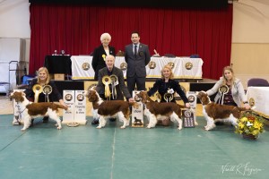 Best in Show Line up